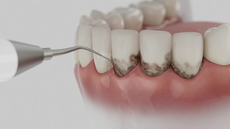 Reliable Dental contractor in Auburn, NE by Dentist Open Now